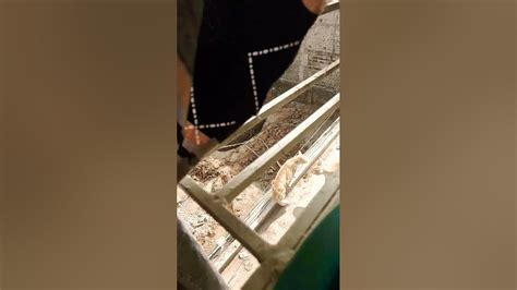 Hildy 2025 𝚆𝚊𝚝𝚌𝚑 With Friends And Family
